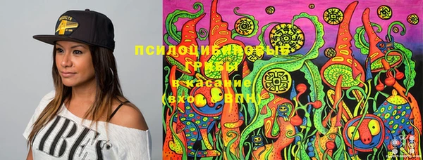 герыч Лиски