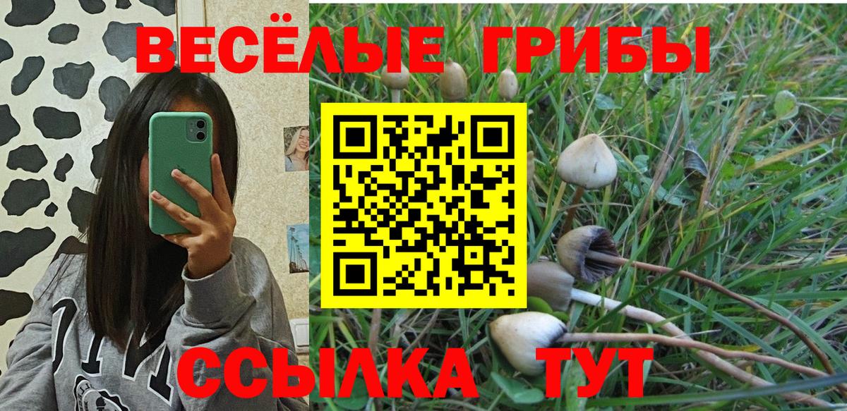Псилоцибиновые грибы Psilocybe  Галлюциногенные грибы GOLDEN TEACHER  Феодосия  Вход с VPN 