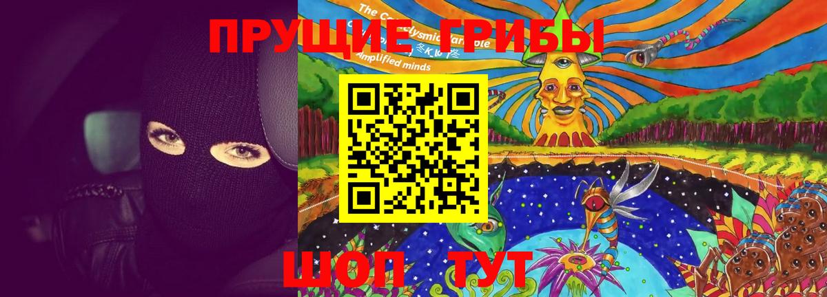 Псилоцибиновые грибы Psilocybe Феодосия
